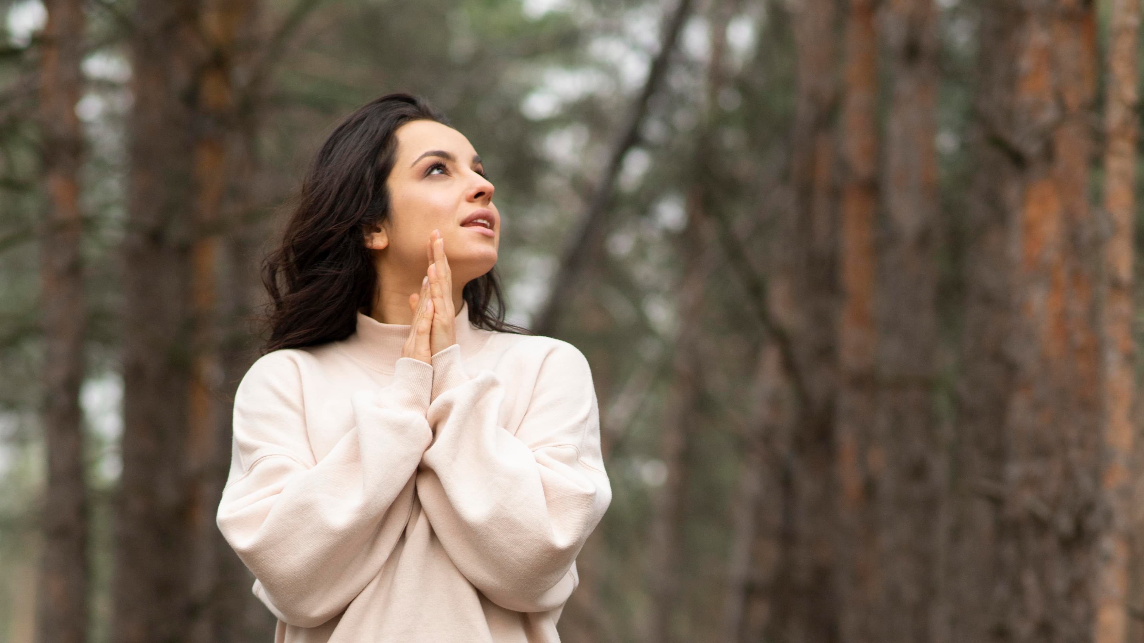 Chrysallís Holistic Wellness Program